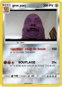gros porc