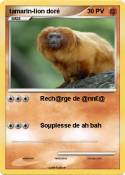 tamarin-lion