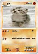 gato