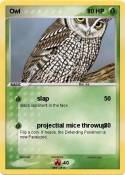 Owl
