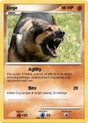 Doge