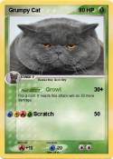 Grumpy Cat