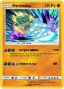 Marshadow
