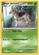 berger allemand