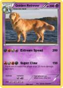 Golden Retrever