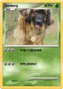 leonberg
