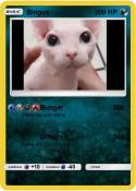 Bingus