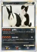 chaton et lapin