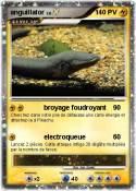 anguillator