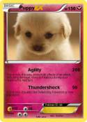 Puppy