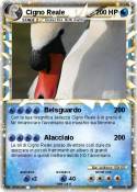 Cigno Reale