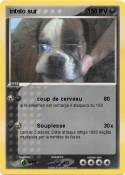 intelo sur