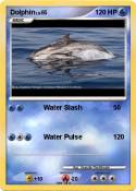 Dolphin