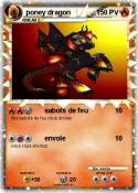 poney dragon