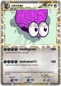 cerveau
