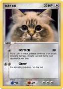 cute cat