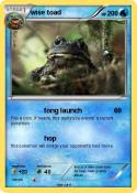 wise toad