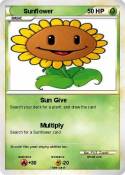 Sunflower