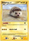 hedgehog