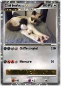 Chat foufou