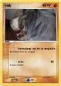 badji