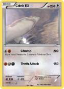 Caleb EX