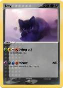 kitty