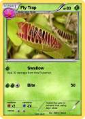 Fly Trap