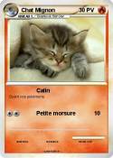 Chat Mignon