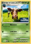Guardian of