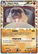 CRAZY PUG