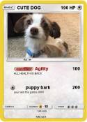 CUTE DOG
