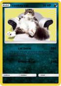cookey cat