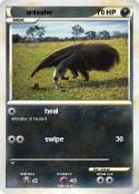 anteater