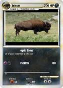 bison