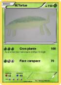 M.Tortue