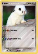 Rabbit