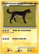 loup/foxhound
