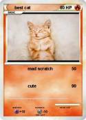 best cat