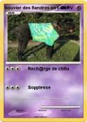 bouvier des