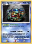 Ninja Squirtles