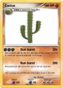 Cactus