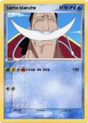 barbe blanche 5