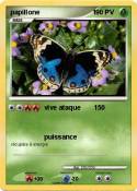 papillone 1