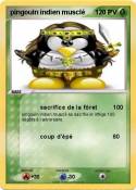 pingouin indien