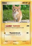 Kitten