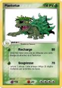 Plantortue