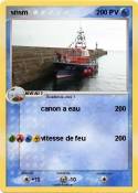 snsm
