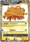 Seed Head (Golg