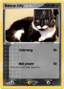 Batman kitty